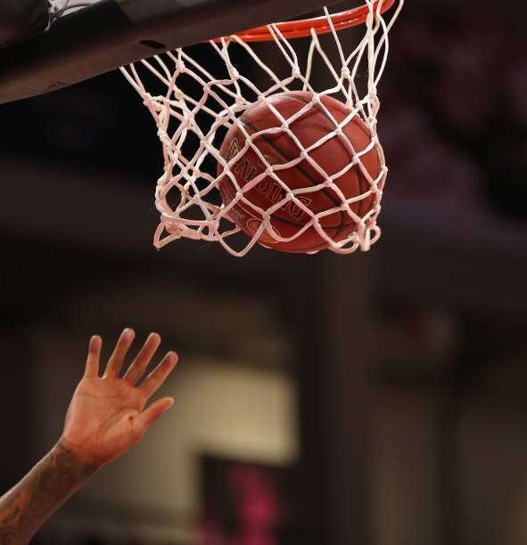 本赛季帕尔 本赛季帕尔